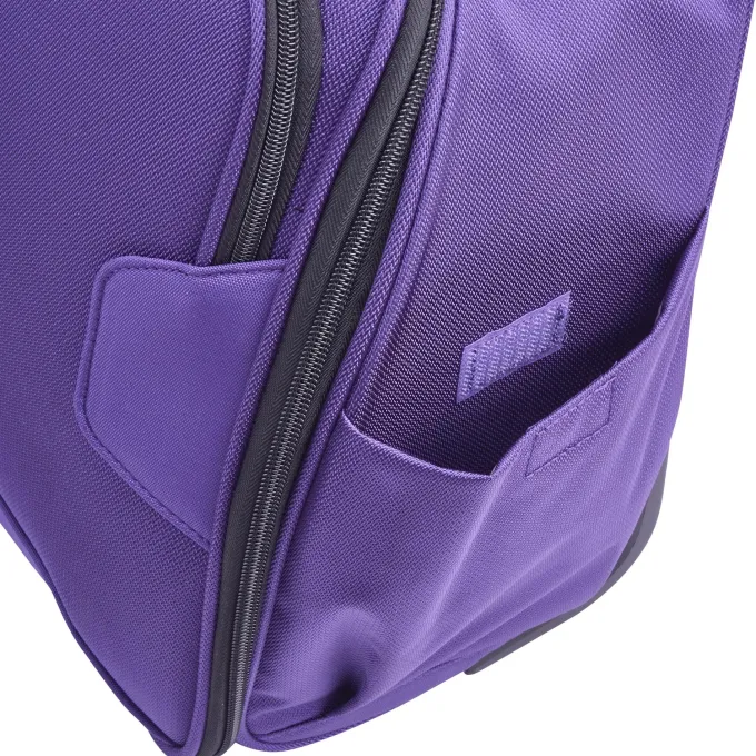 Silk & Salt Delsey Paris Sky Max 2-Wheel Under-Seater^ Carry On Luggage