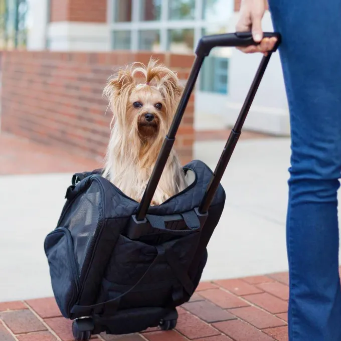 Silk & Salt Snoozer Roll Around Travel Dog Carrier Backpack 4-in-1^ Checked Luggage