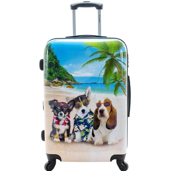 Silk & Salt Chariot Kona 3-Piece Hardside Expandable Spinner LuggaSet^ Hard Side Luggage